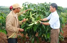 Hình ảnh hoạt động