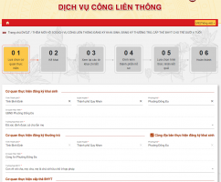 (Tờ khai điện tử liên thông đăng ký khai sinh, đăng ký thường trú và cấp thẻ bảo hiểm y tế cho trẻ em dưới 6 tuổi)