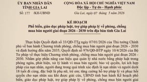 Triển khai 5 nhóm nhiệm vụ trọng tâm về phòng, chống mua bán người giai đoạn 2026 – 2030