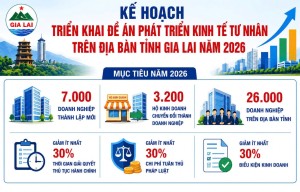 Gia Lai phấn đấu thành lập mới 7.000 doanh nghiệp trong năm 2026