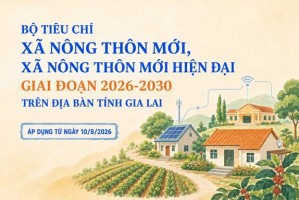 (Ảnh minh họa)