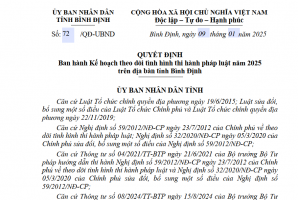 Bình Định ban hành Kế hoạch theo dõi tình hình thi hành pháp luật năm 2025