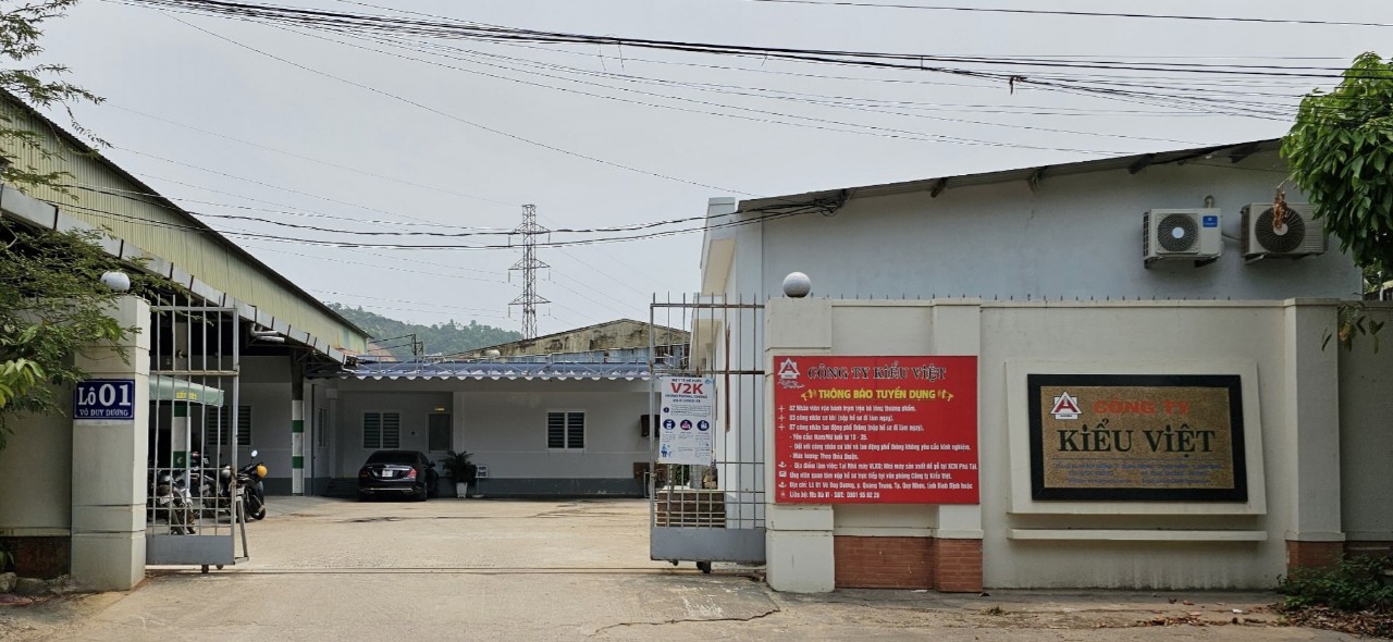 Công ty Đấu giá hợp danh Kiểu Việt