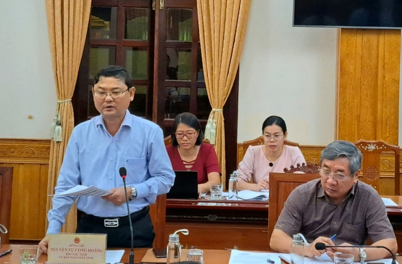 Phó Chủ tịch UBND tỉnh Nguyễn Tự Công Hoàng phát biểu tại buổi làm việc
