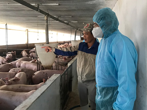 (Một cơ sở chăn nuôi tại huyện Hoài Ân, tỉnh Bình Định)